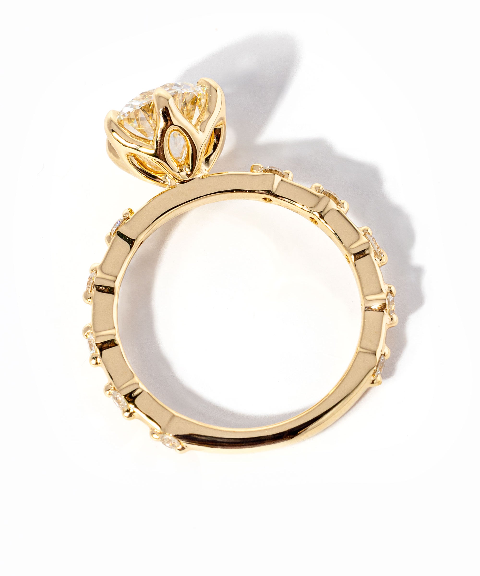 Round-Lila-Flat_2256bbc6-bcfb-4e2e-836f-df8cd2db5558.jpg