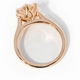 Victoria Round High Polish