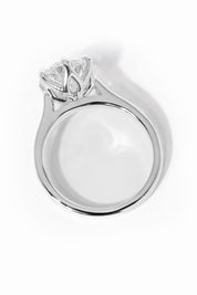 Victoria Round High Polish