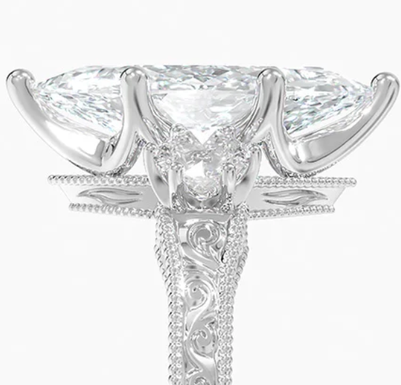 custom ring for David (6/4/26) CAR