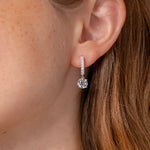 White Gold Diamond Pave Hoops with a 4 prong diamond drop on ear