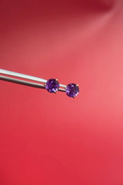 Amethyst Earrings - PBD Earrings