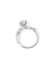 Ariel Oval - PBD Engagement Rings