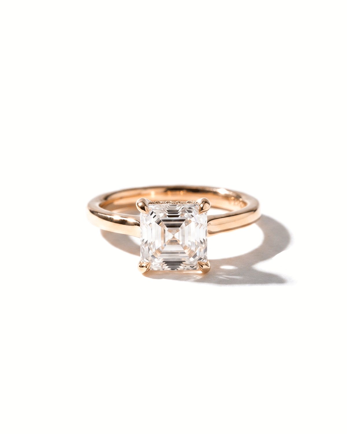 Michelle Asscher High Polish
