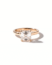 Michelle Asscher High Polish