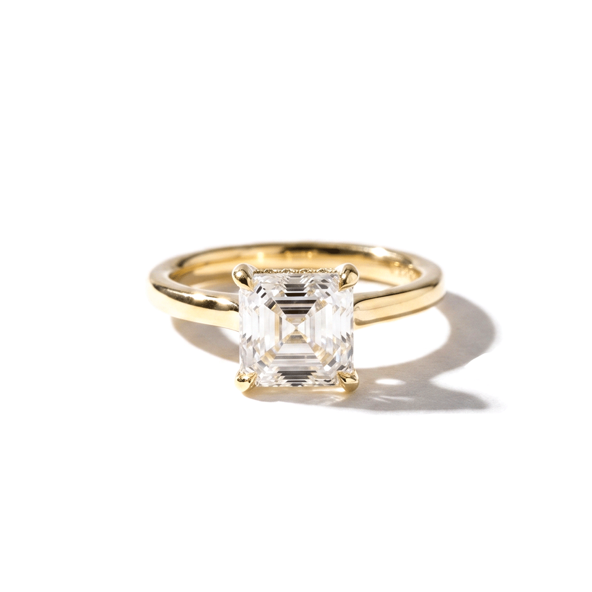asscher-michelle.gif