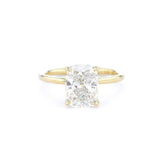 Caraline Cushion High Polish - PBD Engagement Rings
