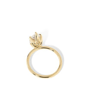 Caraline Pear High Polish - PBD Engagement Rings