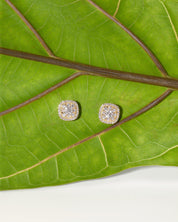 Diamond Cushion Cluster Earrings - PBD Earrings