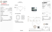 1.86ct F-VS1 Cushion Lab Diamond Louise