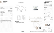 4.05ct E-VVS2 Radiant Lab Diamond Kayla