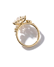 Duchess Nova Marquise