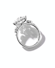 Duchess Nova Marquise