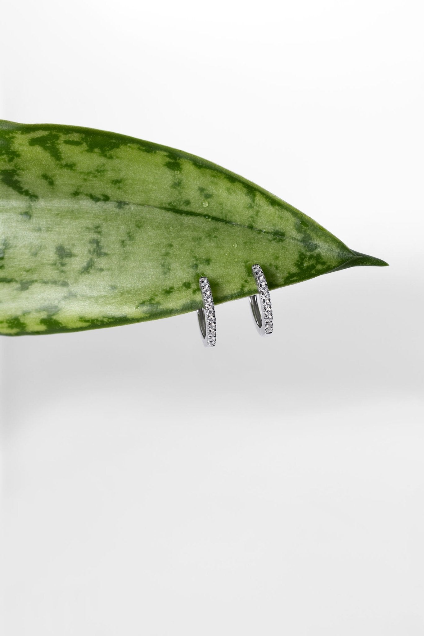 Extra - Fine 11mm Pavé Hoops White Gold - PBD Earrings