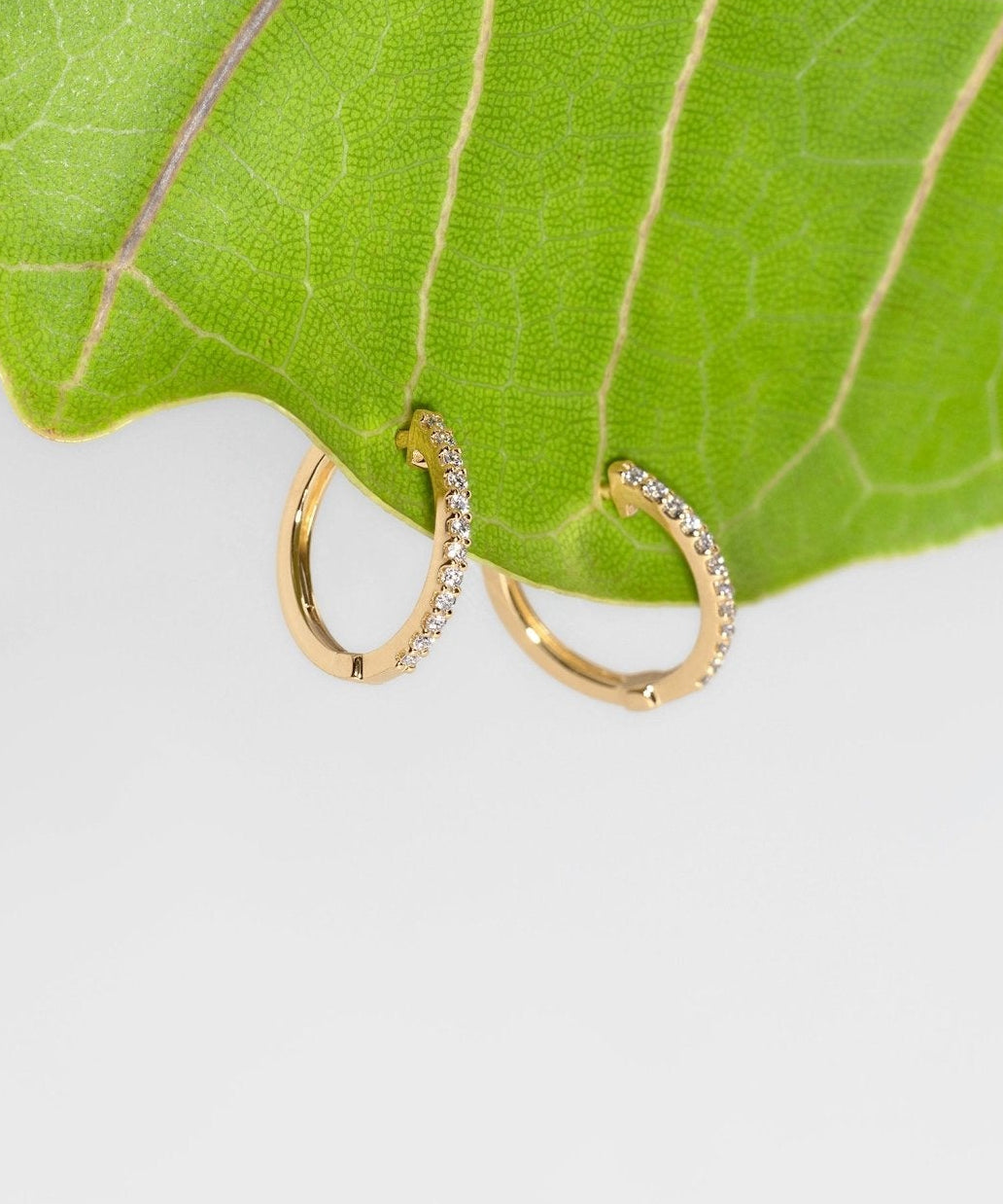 Extra - Fine 13mm Pavé Hoops Yellow Gold - PBD Earrings