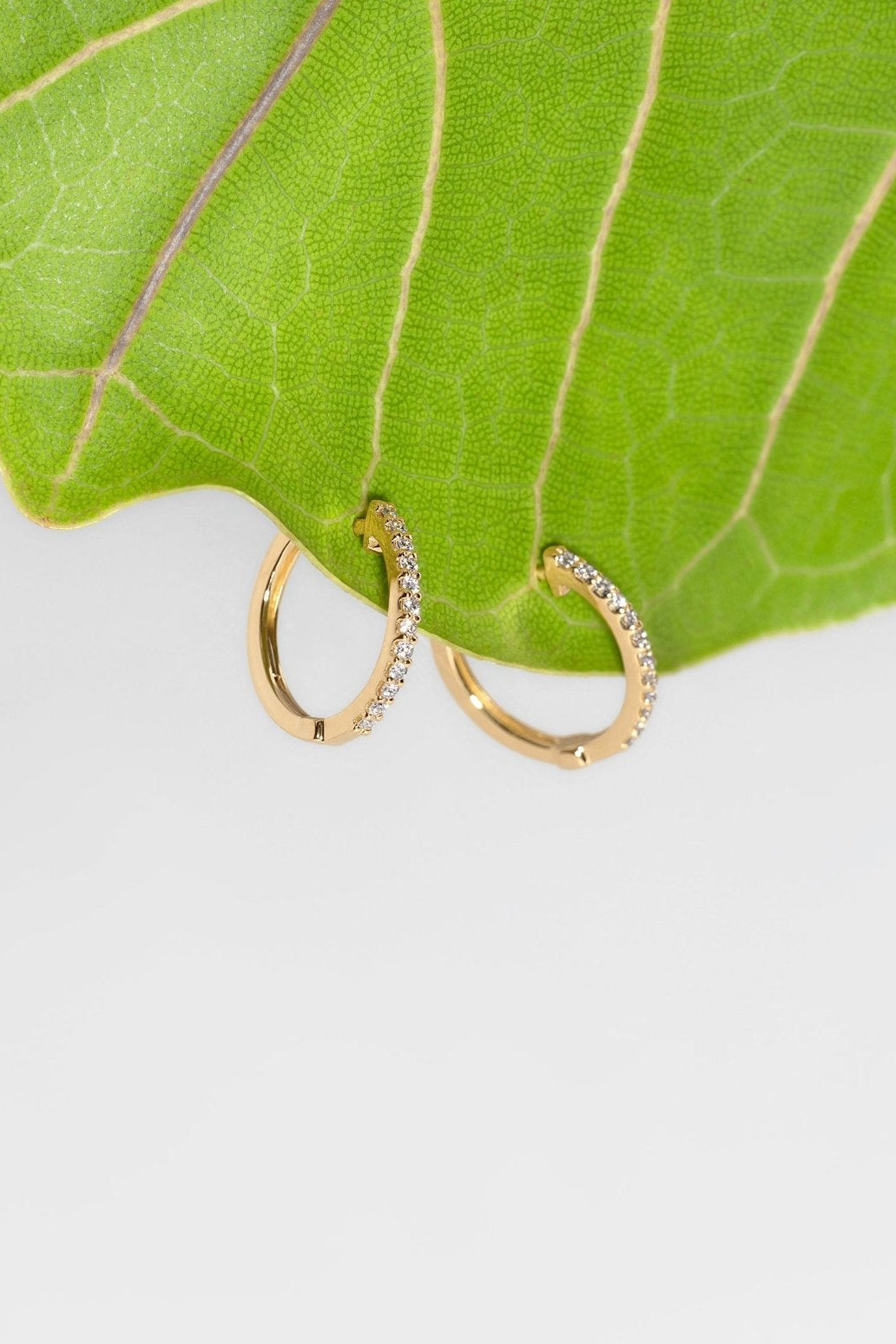 Extra - Fine 13mm Pavé Hoops Yellow Gold - PBD Earrings