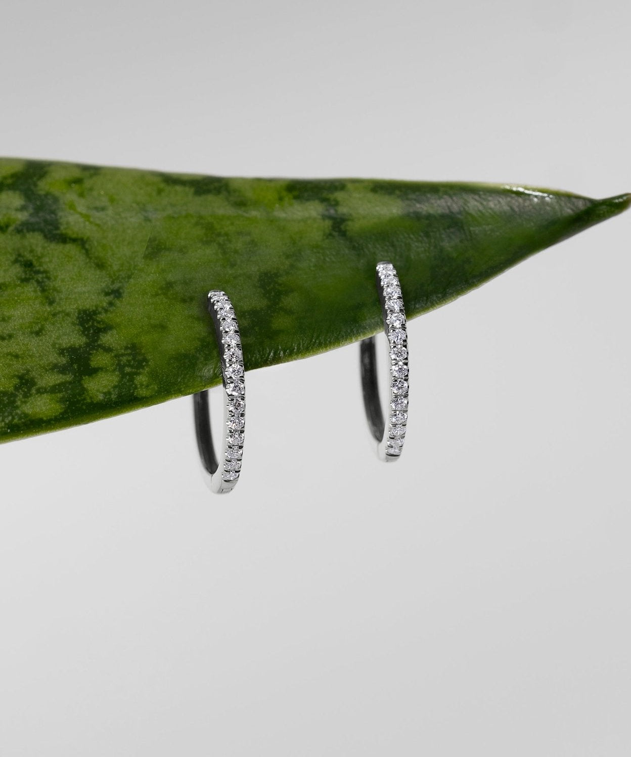 Extra - Fine 15mm Pavé Hoops White Gold - PBD Earrings