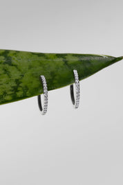 Extra - Fine 15mm Pavé Hoops White Gold - PBD Earrings