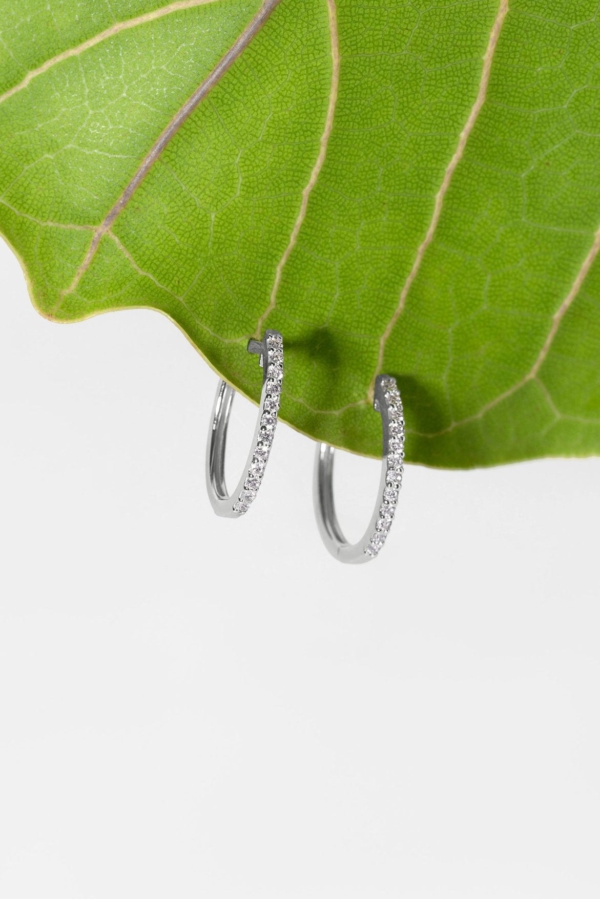 Extra - Fine 16mm Pavé Hoops White Gold - PBD Earrings