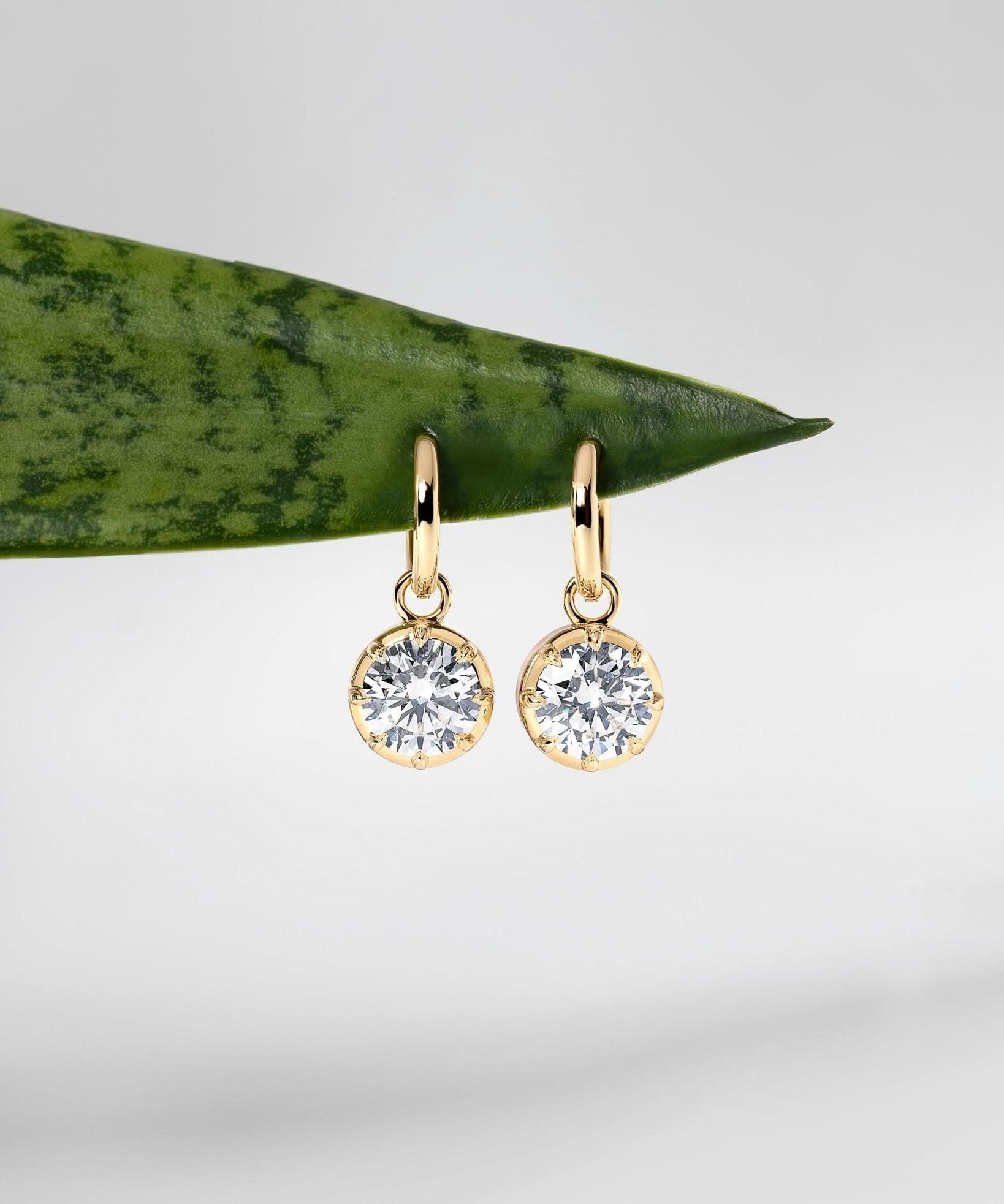 Georgian Set Round Drop High Polish Hoops - PBD Earrings