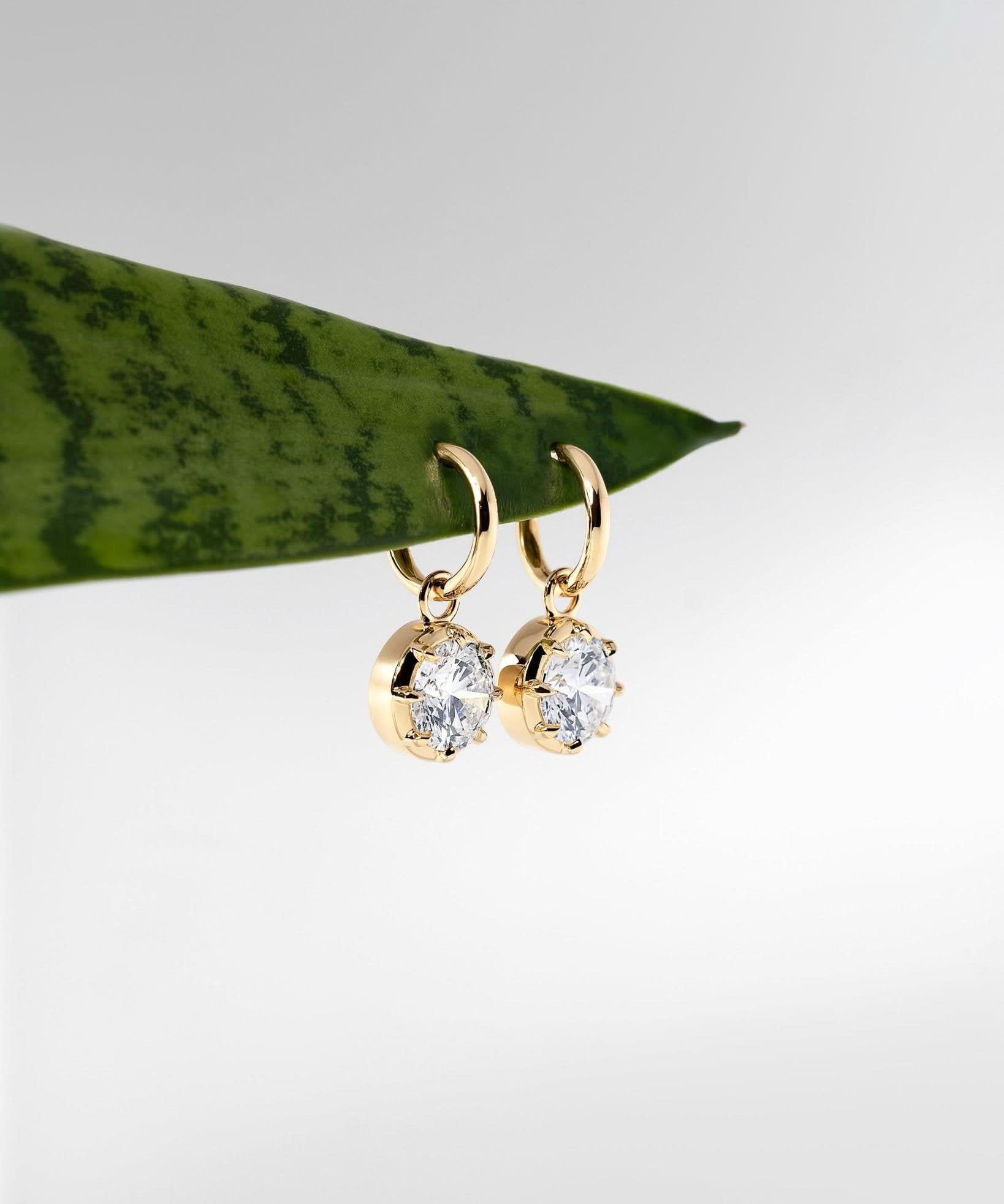 Georgian Set Round Drop High Polish Hoops - PBD Earrings