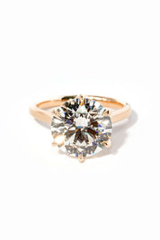 Hana Round High Polish - PBD Engagement Rings