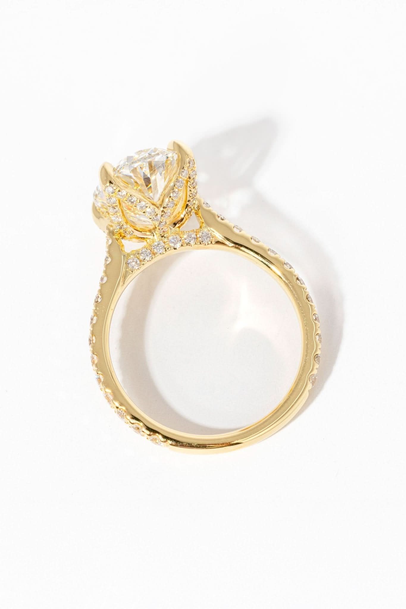 Isabela Oval - PBD Engagement Rings