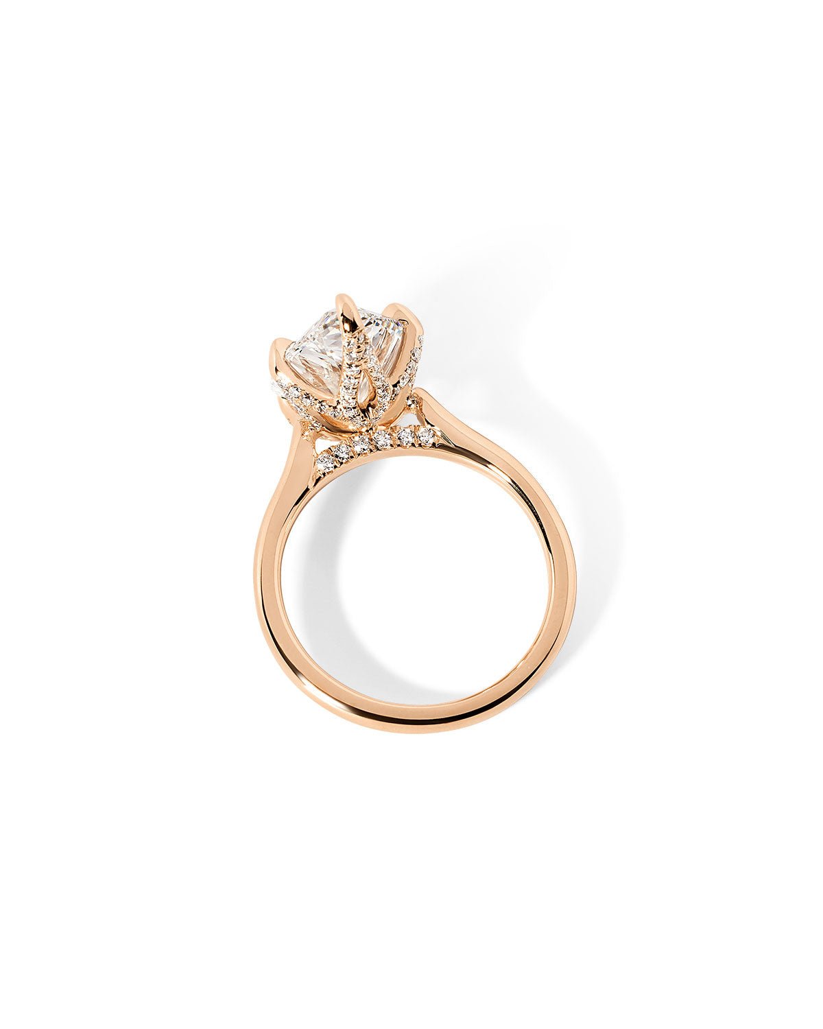 Isabela Pear High Polish - PBD Engagement Rings