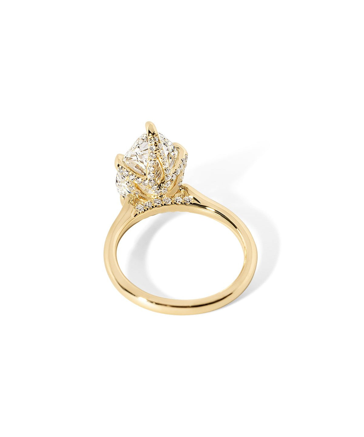 Isabela Pear High Polish - PBD Engagement Rings
