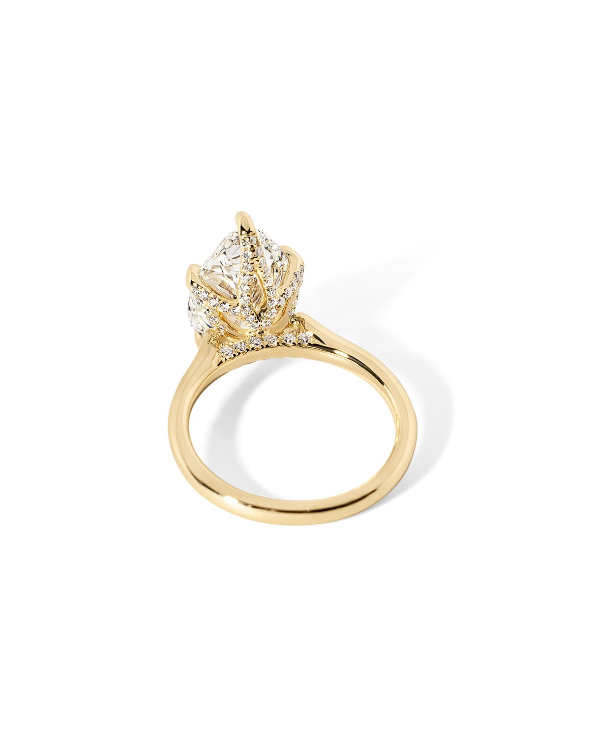 Isabela Pear High Polish - PBD Engagement Rings