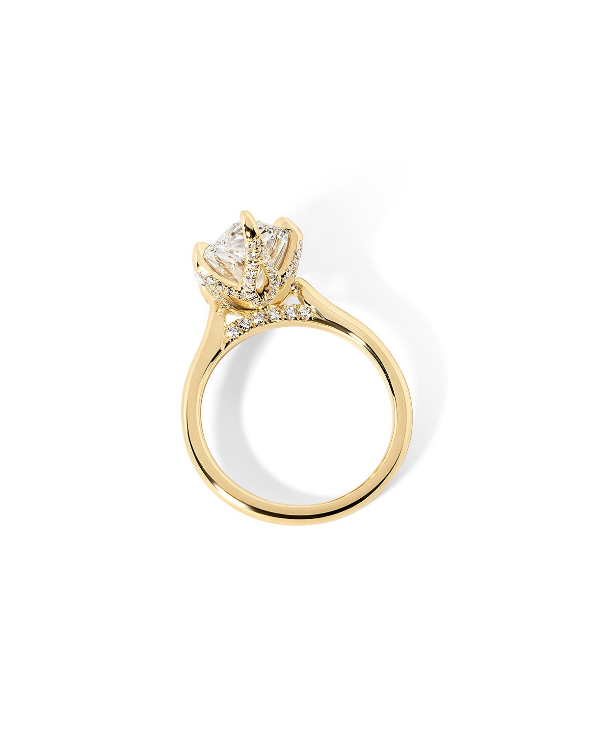 Isabela Pear High Polish - PBD Engagement Rings