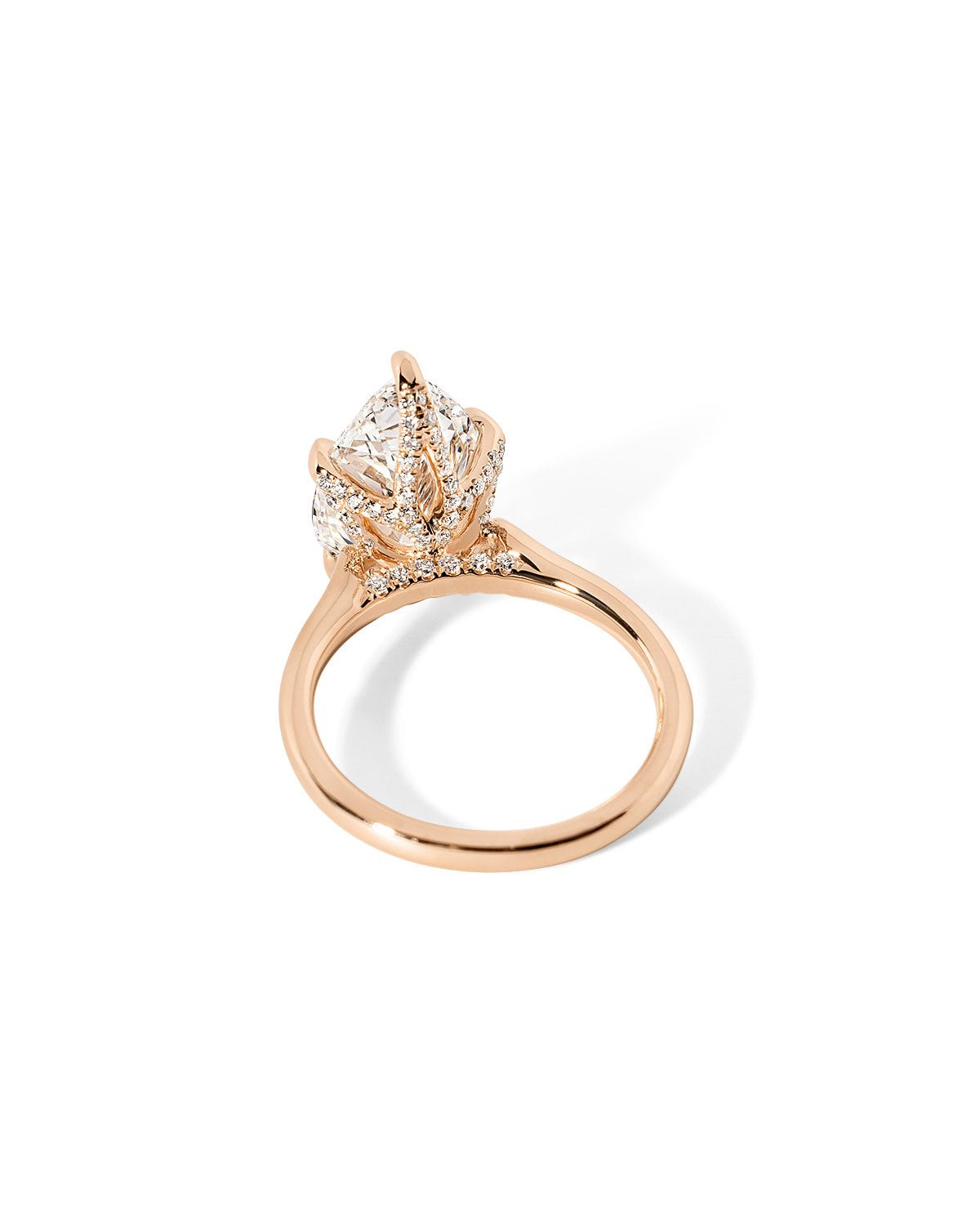 Isabela Pear High Polish - PBD Engagement Rings