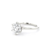 Isabela Round High Polish - PBD Engagement Rings