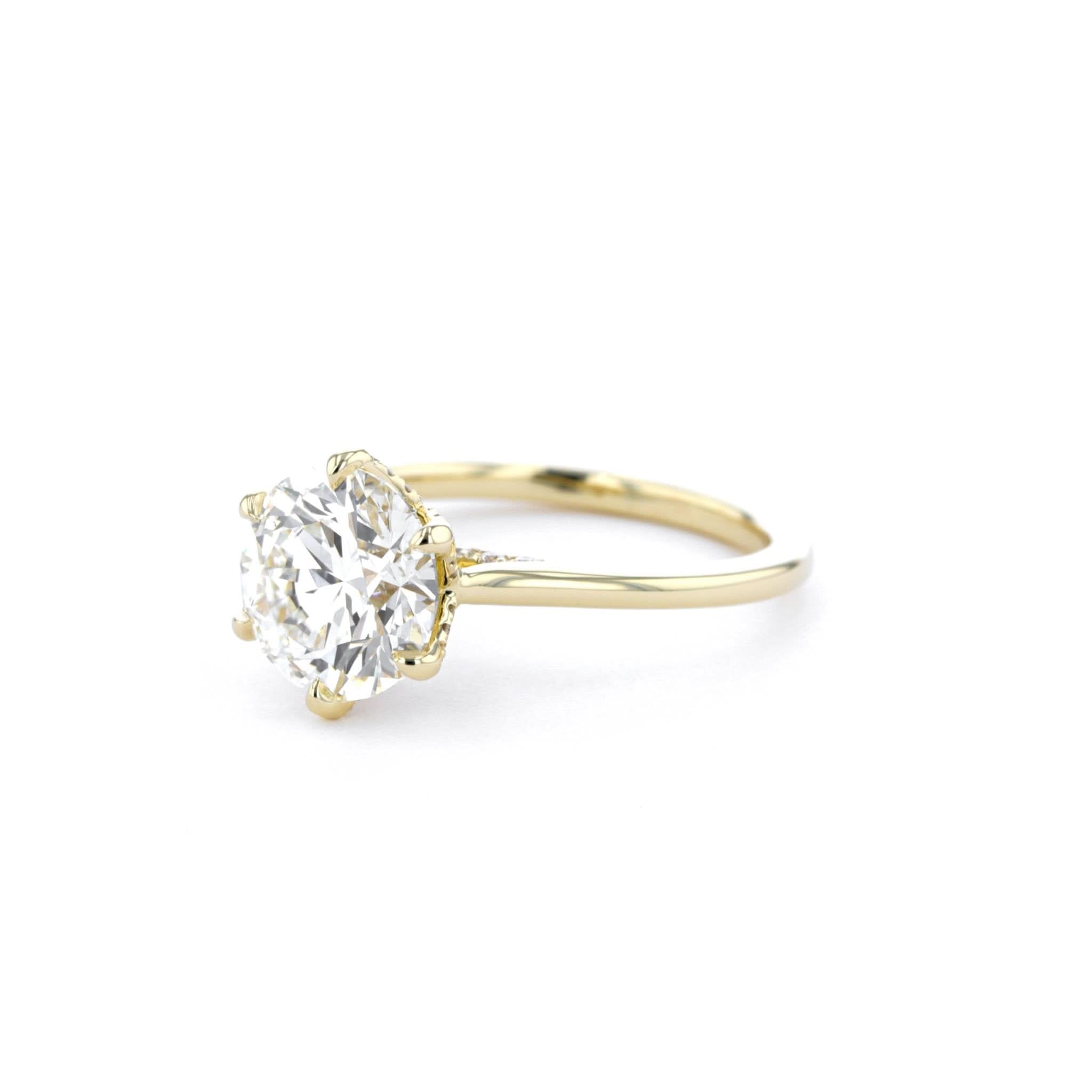 Isabela Round High Polish - PBD Engagement Rings