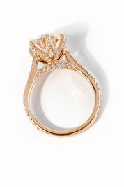 Isabela Round - PBD Engagement Rings