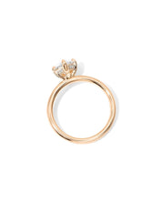 Kayla Pear High Polish Compass Prongs - PBD Engagement Rings