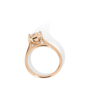 Leah Round Cathedral High Polish - PBD Engagement Rings