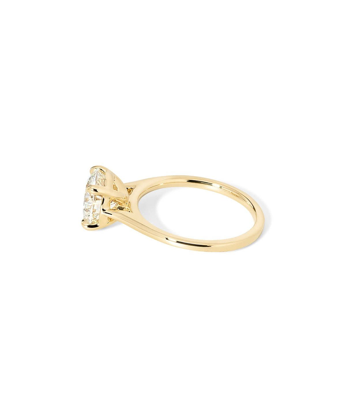 Leah Round Cathedral High Polish - PBD Engagement Rings