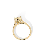 Leah Round Cathedral High Polish - PBD Engagement Rings