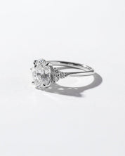 Lindsey Oval with Petal Prongs & Diamond Bridge - PBD Engagement Rings
