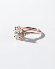 Lindsey Oval with Petal Prongs & Diamond Bridge - PBD Engagement Rings