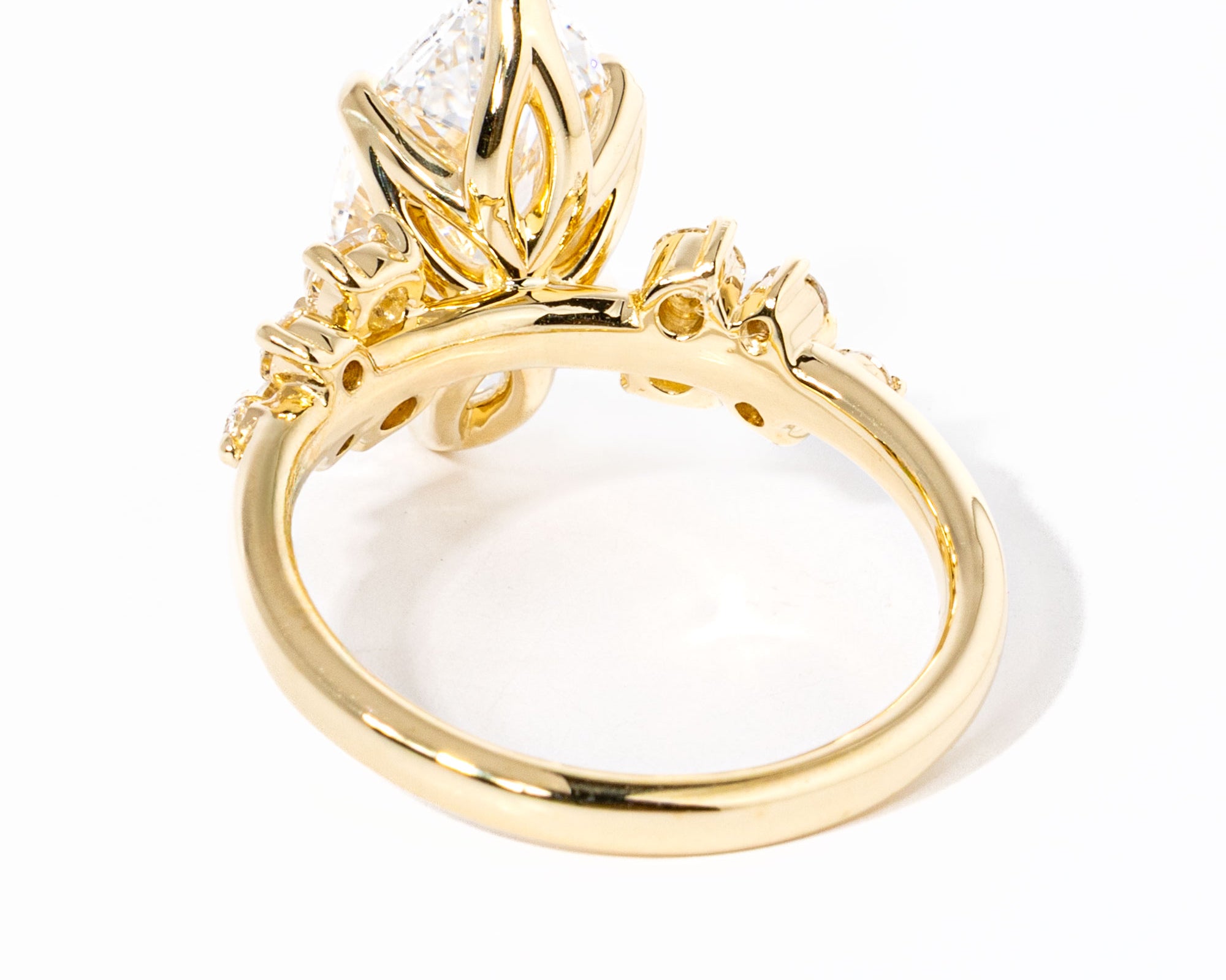 marquise-nova-back_7bdae49c-7809-4e80-8a73-48298e47fb47.jpg