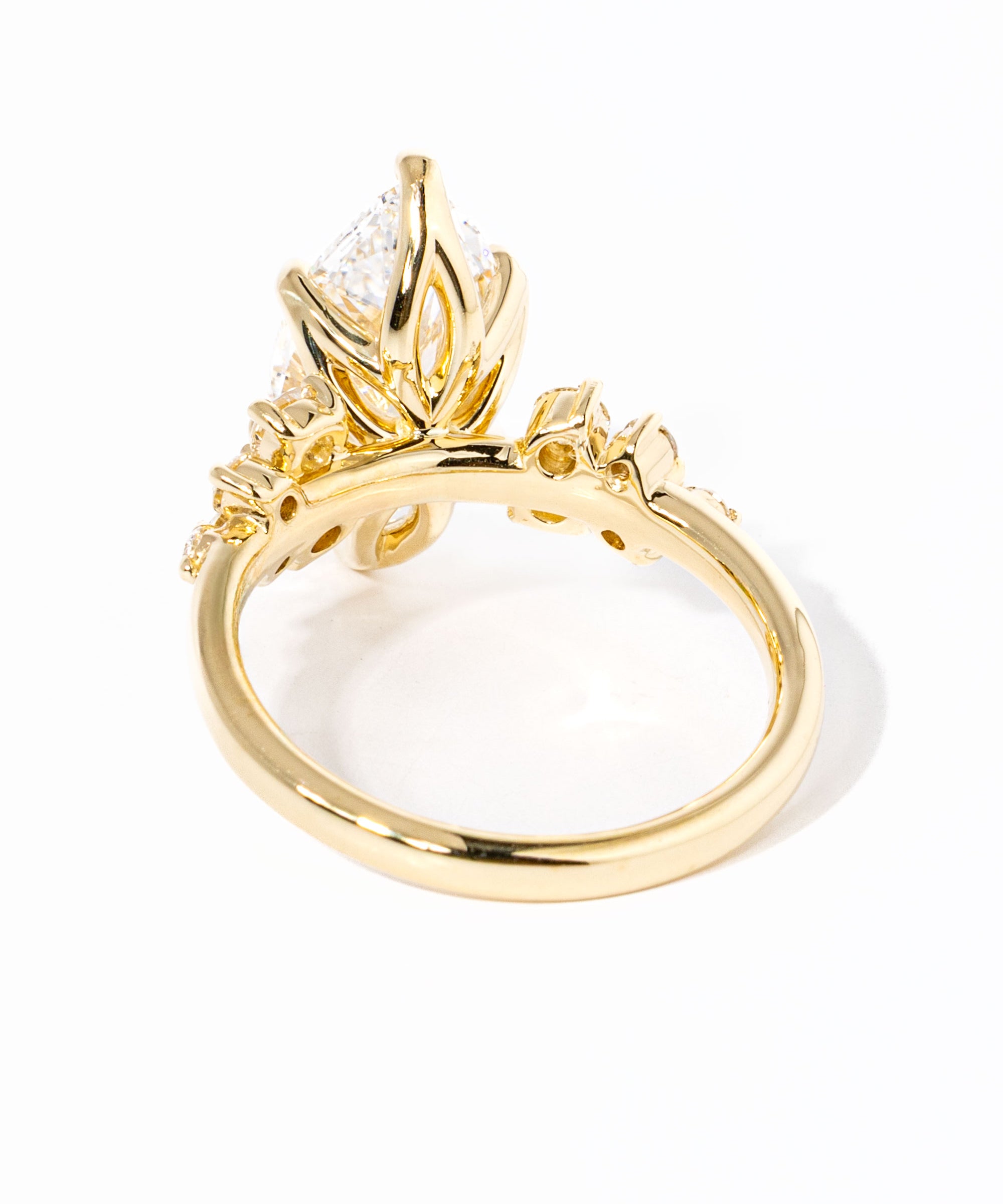 marquise-nova-back_7bdae49c-7809-4e80-8a73-48298e47fb47.jpg