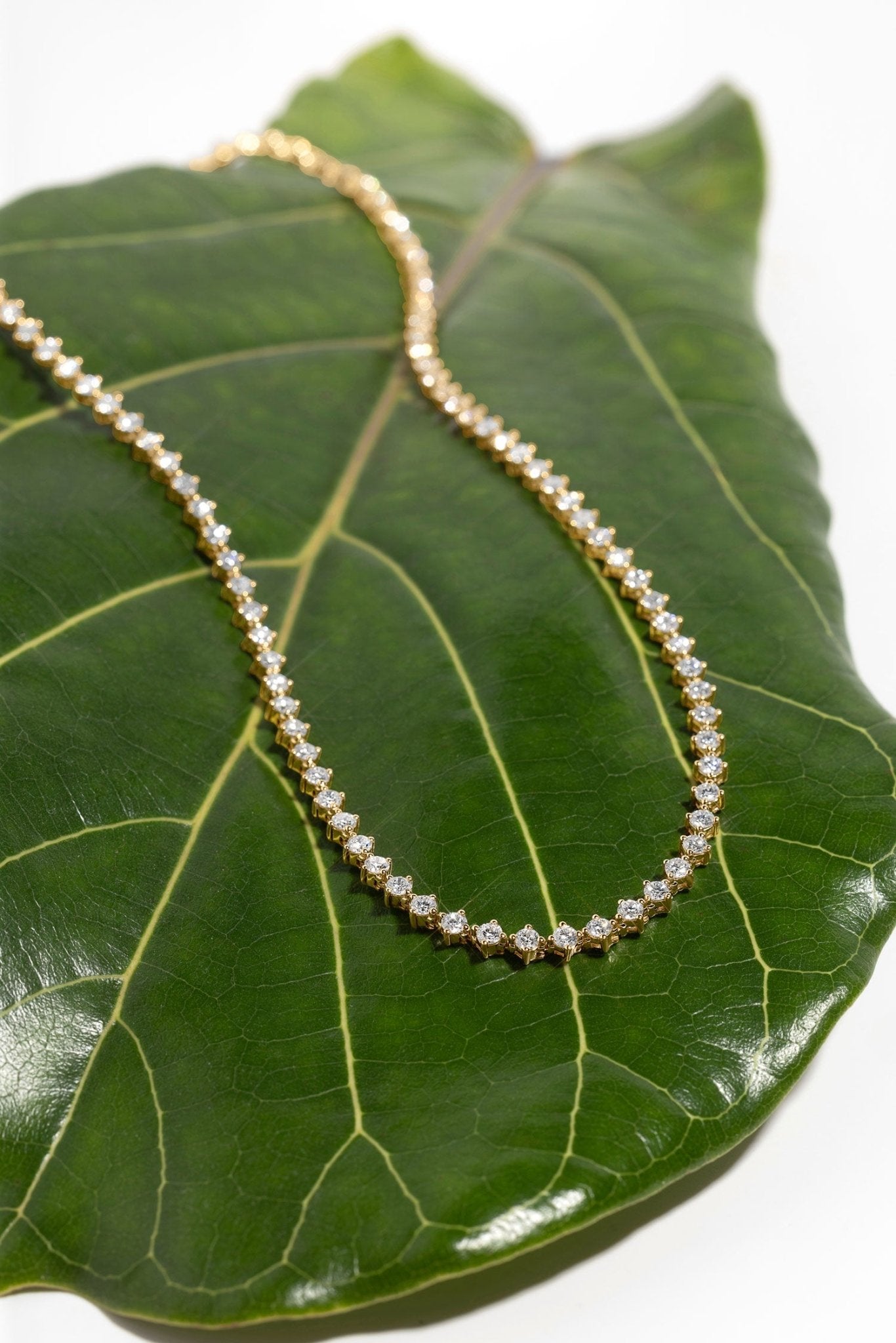 North Star Tennis Necklace - PBD Necklaces