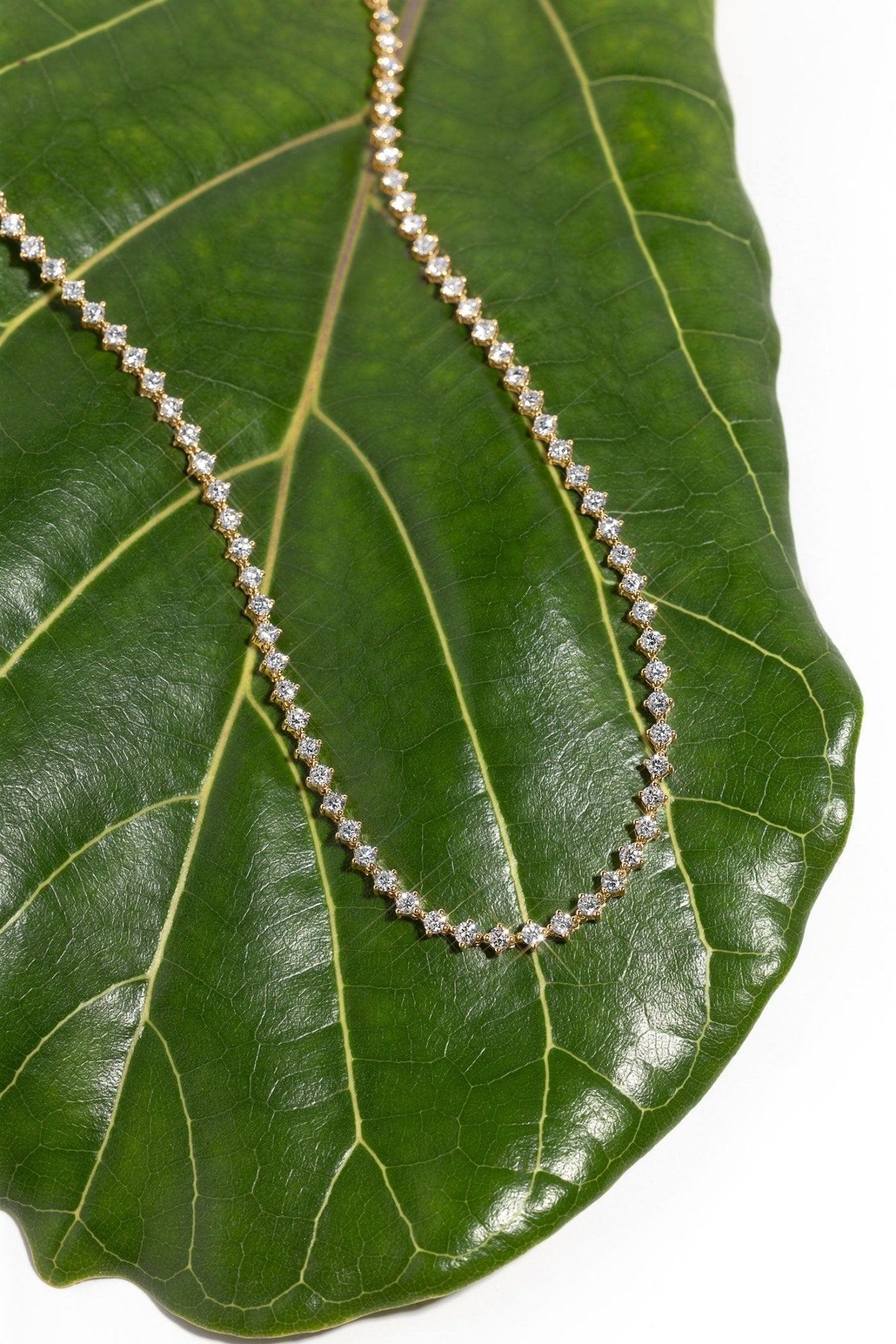 North Star Tennis Necklace - PBD Necklaces