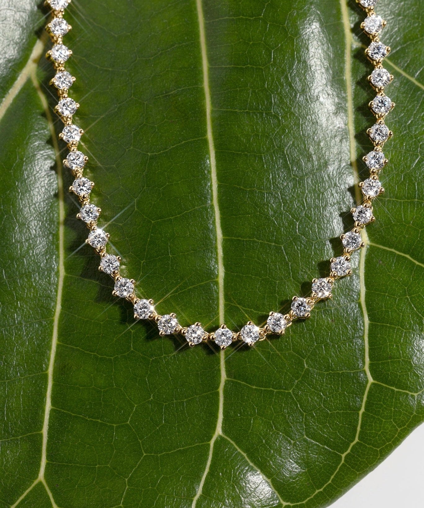 North Star Tennis Necklace - PBD Necklaces