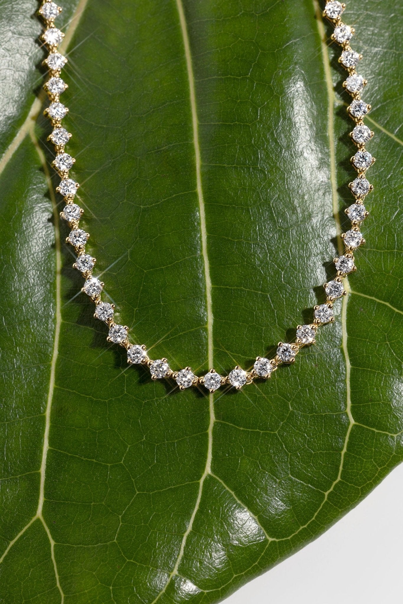 North Star Tennis Necklace - PBD Necklaces