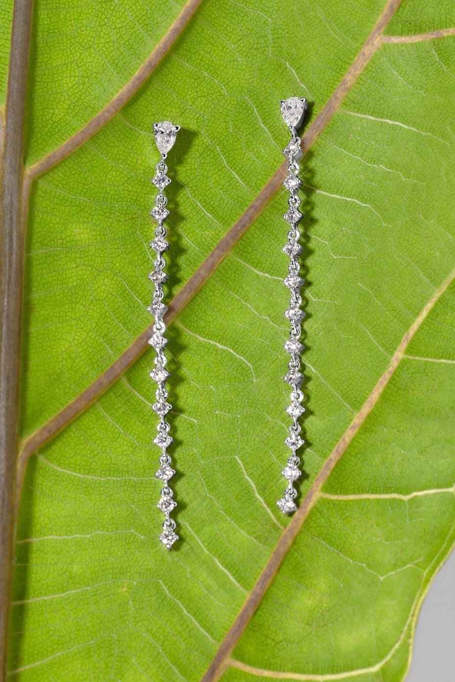 North Star Waterfall Earrings White Gold - PBD Earrings