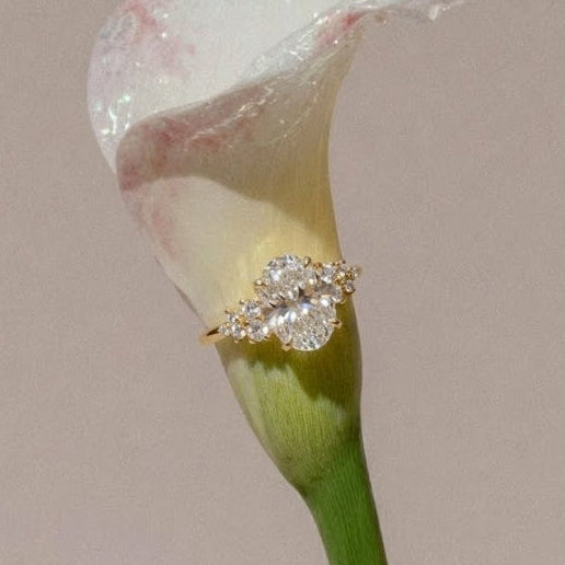 nova oval engagement ring in yellow gold on calla lily