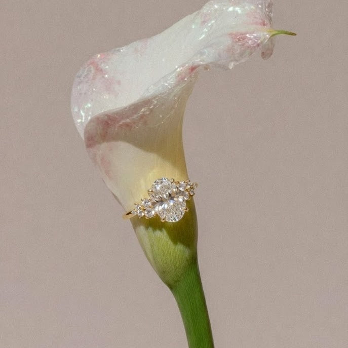 nova oval engagement ring in yellow gold on calla lily
